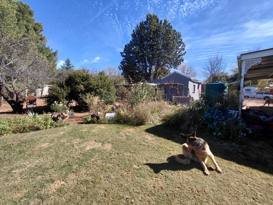 3 Bedroom Property for Sale in Burgersdorp Eastern Cape